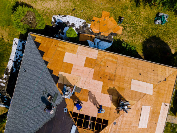 Best Commercial Roofing Services  in Holcom, KS