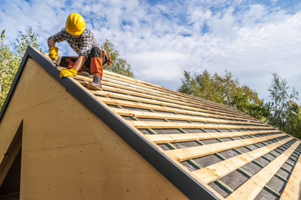Best Metal Roofing Contractor  in Holcom, KS