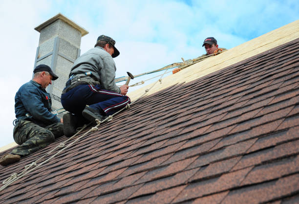 Best Roof Maintenance Services  in Holcom, KS