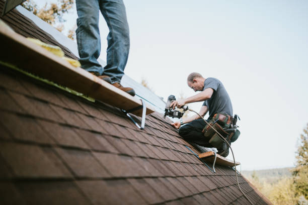 Professional Roofing Contractor in Holcom, KS